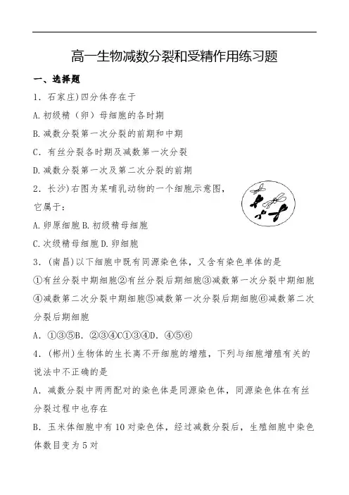 高一生物减数分裂和受精作用练习题