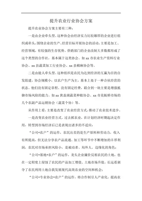 提升农业行业协会方案
