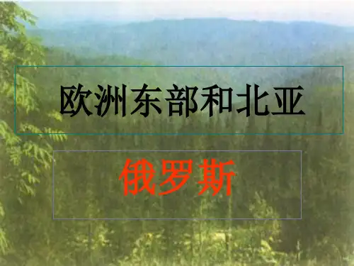 高考地理一轮复习 欧洲东部北亚和俄罗斯