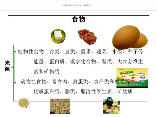 植物性食物的营养价值