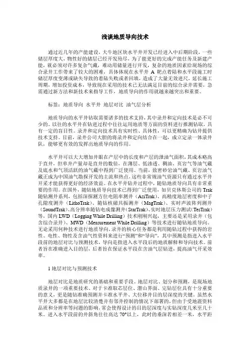 浅谈地质导向技术