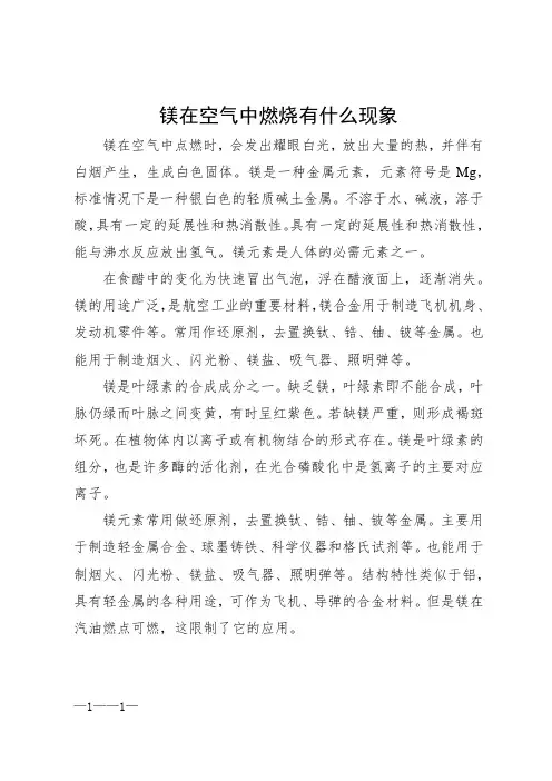 镁燃烧现象