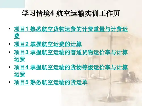 航空运输实训