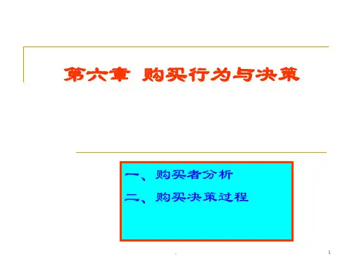 购买行为与决策PPT课件
