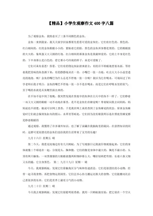 小学生观察作文400字八篇精选