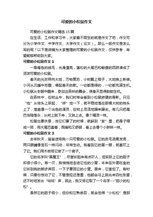 可爱的小松鼠作文