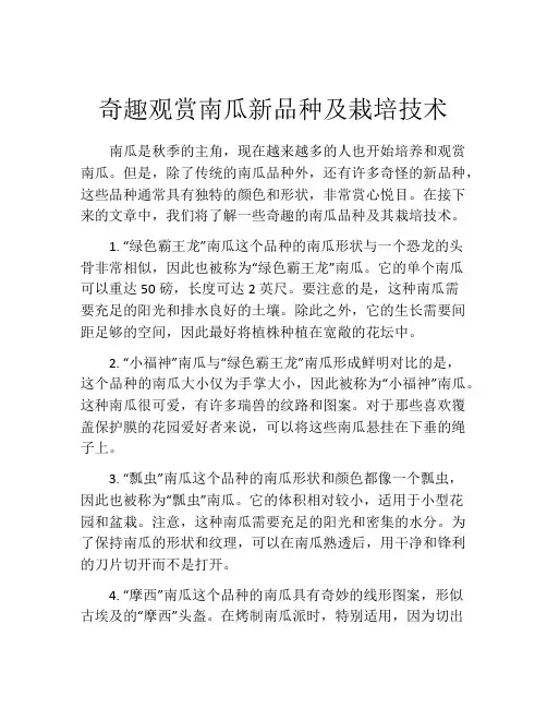 奇趣观赏南瓜新品种及栽培技术