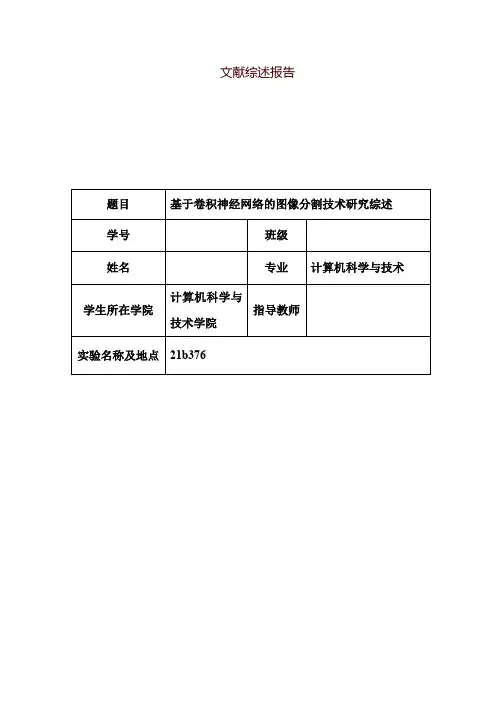 文献综述报告
