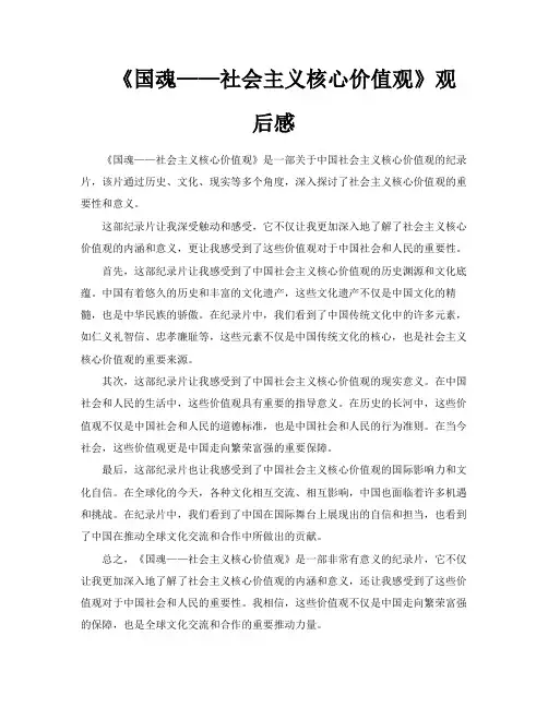 《国魂——社会主义核心价值观》观后感