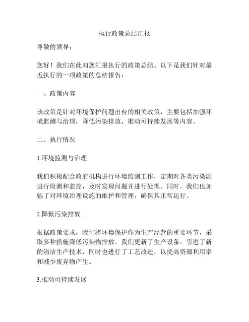 执行政策总结汇报