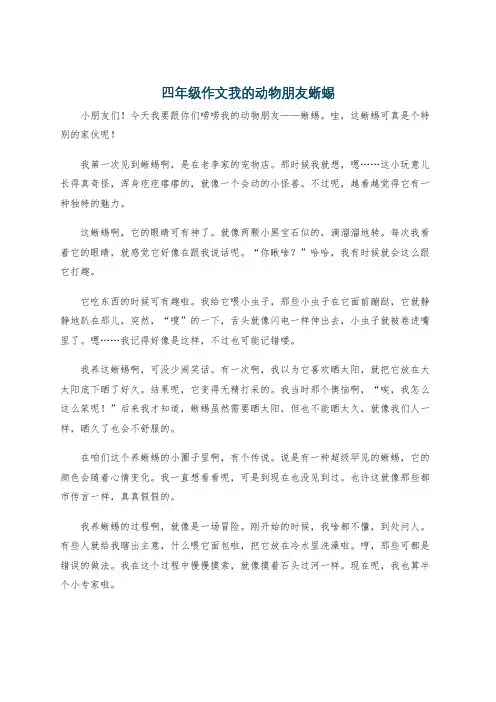 四年级作文我的动物朋友蜥蜴