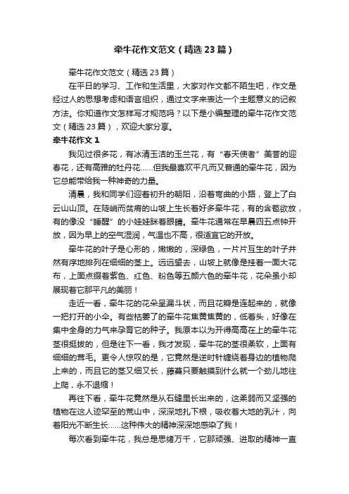 牵牛花作文范文（精选23篇）