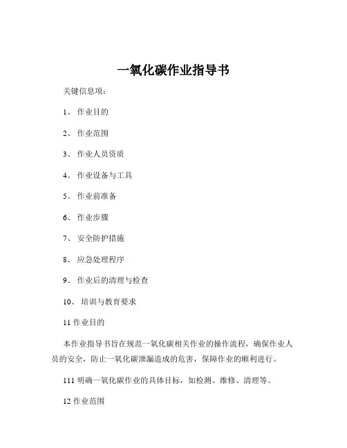 一氧化碳作业指导书