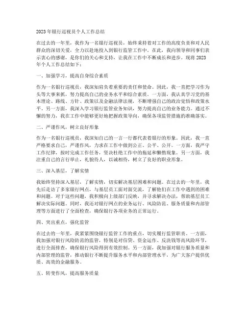 银行巡视员个人工作总结