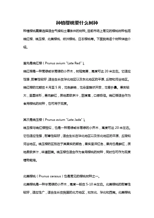种植樱桃要什么树种