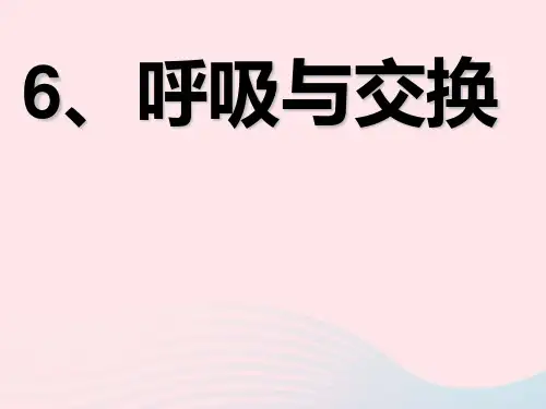 六年级科学下册第二单元奇妙的人体第6课呼吸与交换课件3