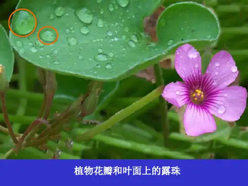 液体表面现象