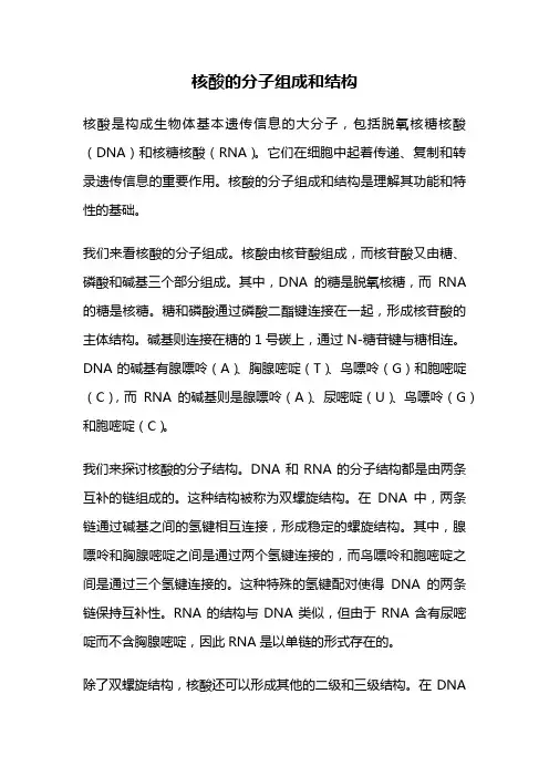 核酸的分子组成和结构