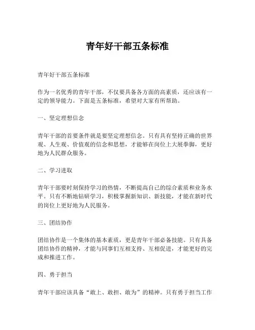 青年好干部五条标准