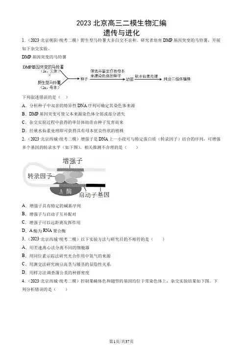 2023北京高三二模生物汇编：遗传与进化