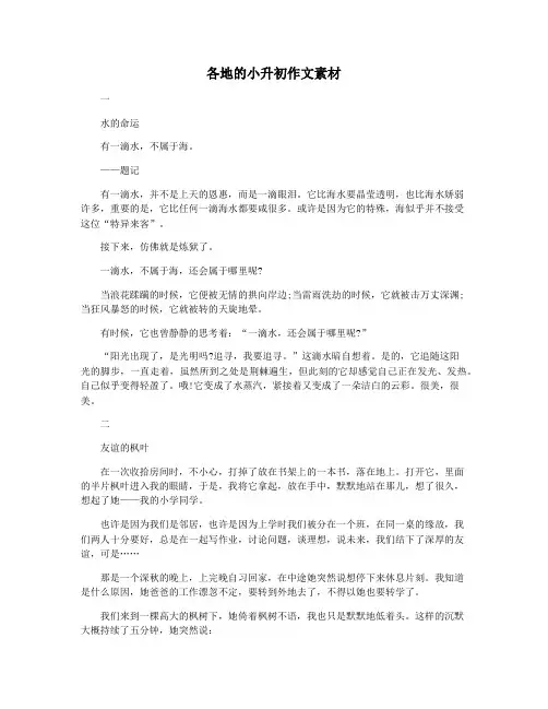 各地的小升初作文素材