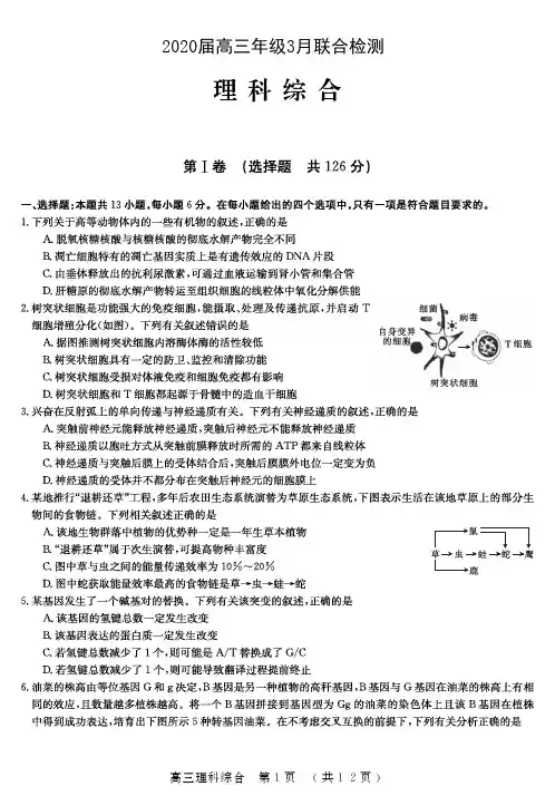 河南省六市重点高中2020届高三年级3月联合检测理综试题及答案