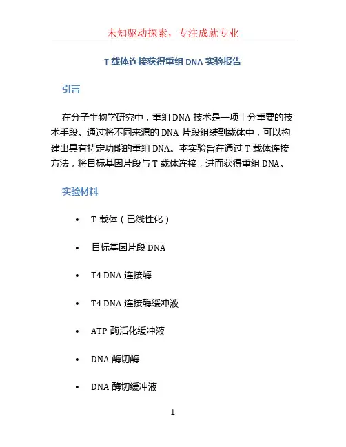 T载体连接获得重组DNA实验报告