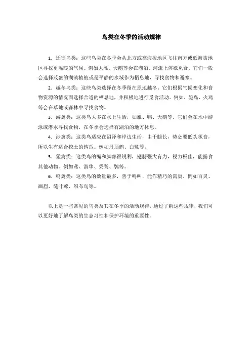 鸟类冬季活动规律