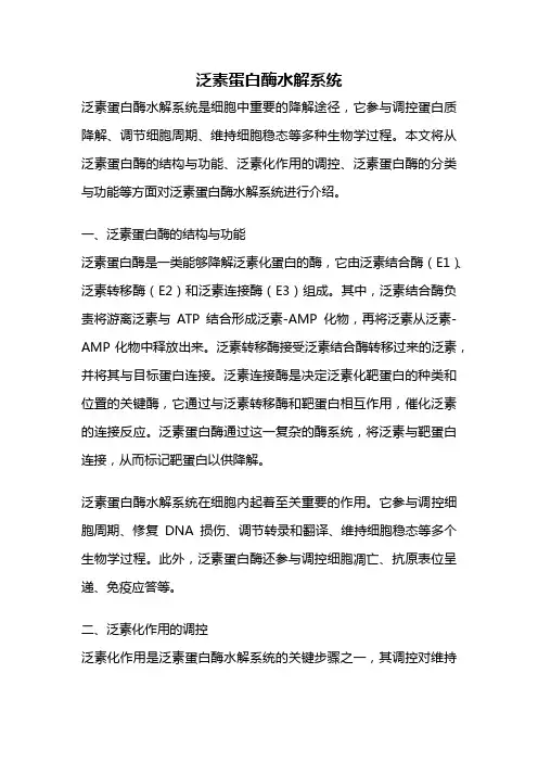 泛素蛋白酶水解系统