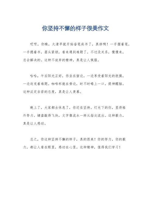 你坚持不懈的样子很美作文