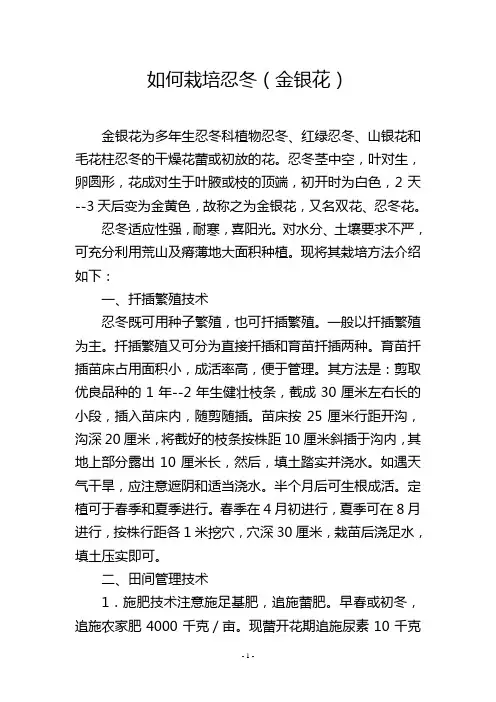 如何栽培忍冬(金银花)