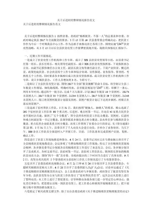 关于后进村的整顿情况报告范文