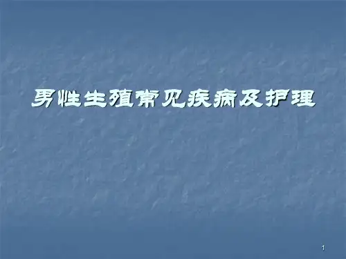 男性生殖系统常见疾病ppt课件