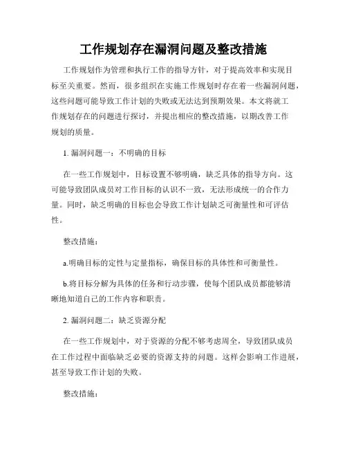 工作规划存在漏洞问题及整改措施