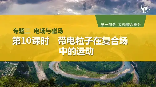 高中物理复习 带电粒子在复合场中的运动