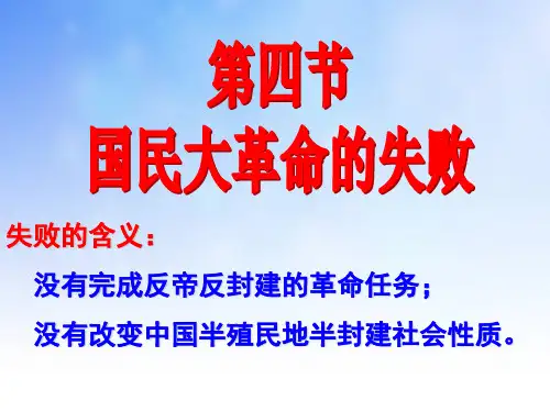 国民大革命的失败PPT课件