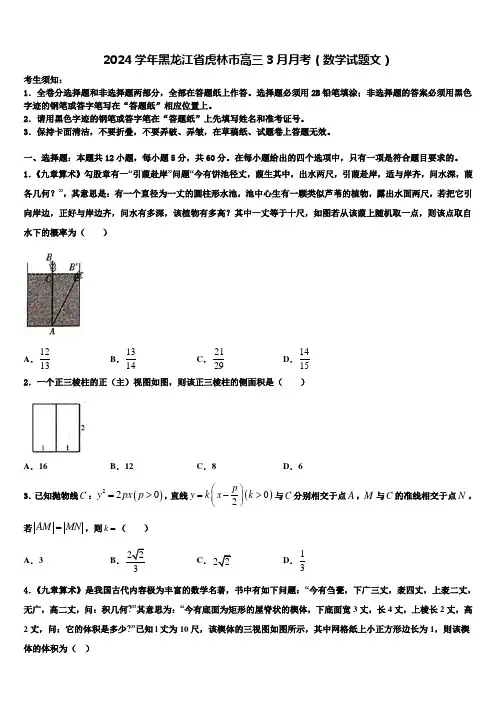 2024学年黑龙江省虎林市高三3月月考(数学试题文)