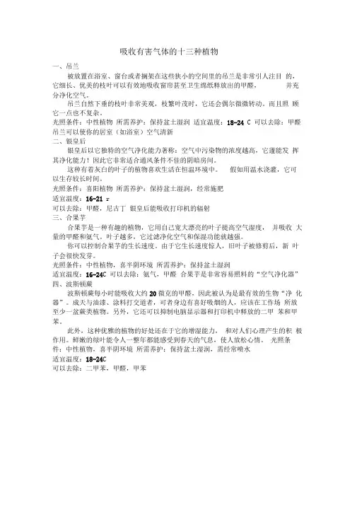 吸收有害气体的十三种植物