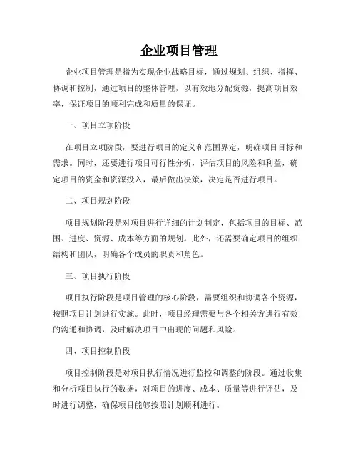 企业项目管理