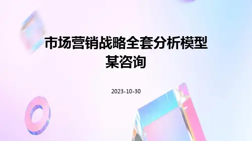 市场营销战略全套分析模型某咨询