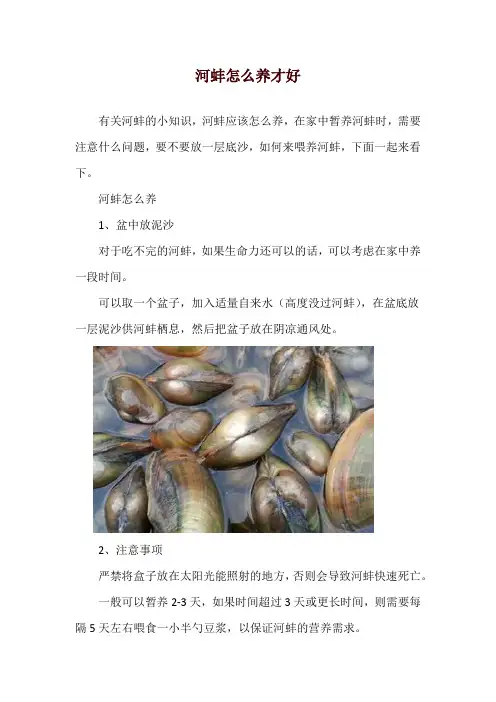 河蚌怎么养才好