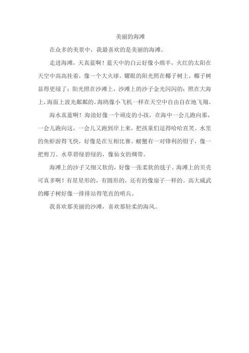 二年级作文美丽的海滩
