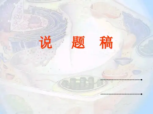 高中生物说题课件