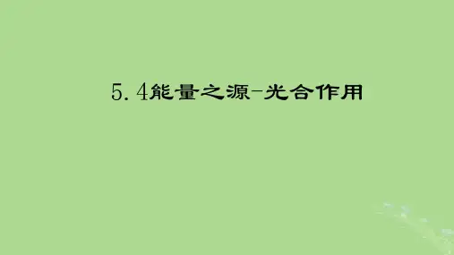 高中生物光合作用北师大版必修1