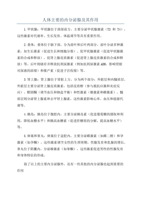 人体主要的内分泌腺及其作用