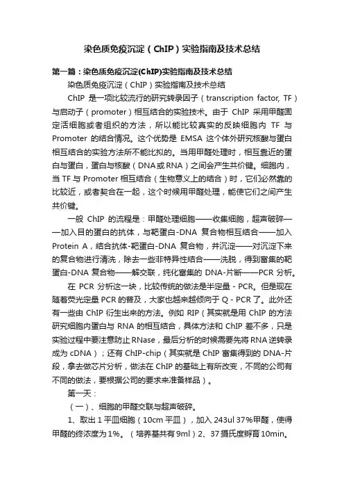 染色质免疫沉淀（ChIP）实验指南及技术总结