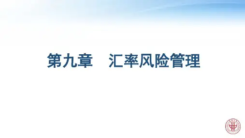 汇率风险管理