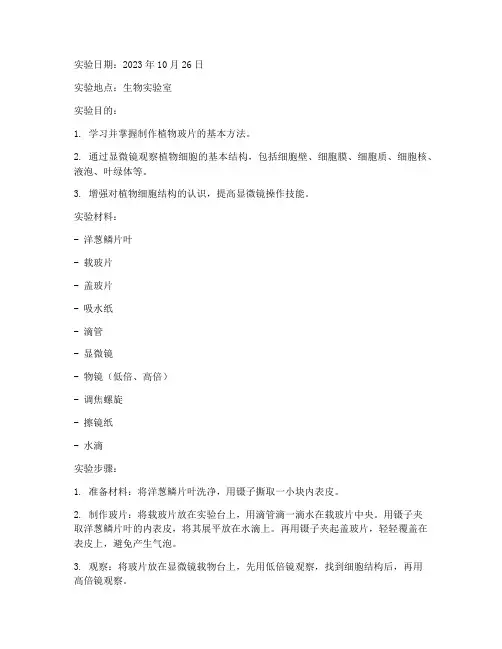 观察植物玻片实验报告