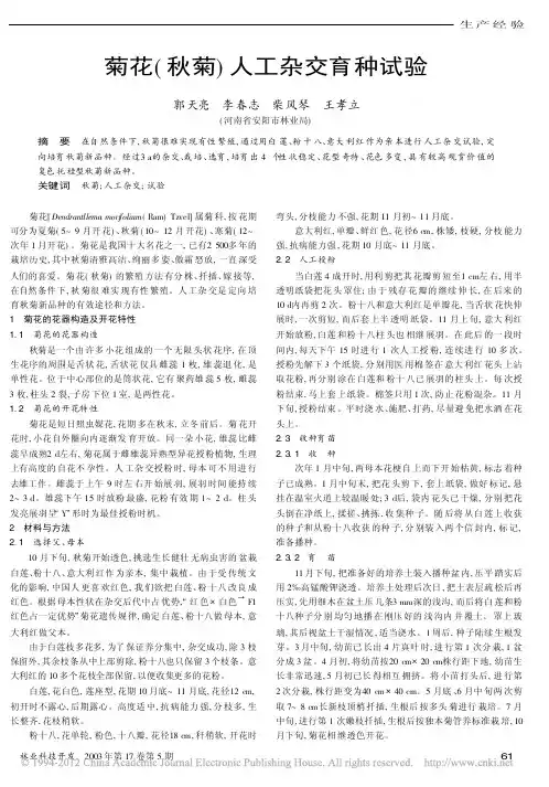 菊花(秋菊)人工杂交育种试验