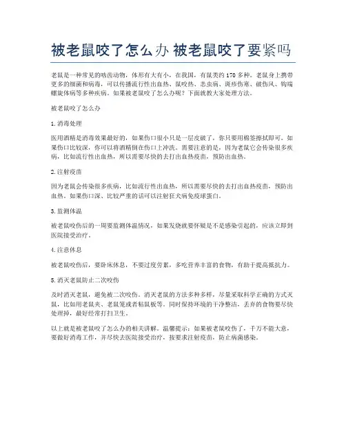 被老鼠咬了怎么办-被老鼠咬了要紧吗